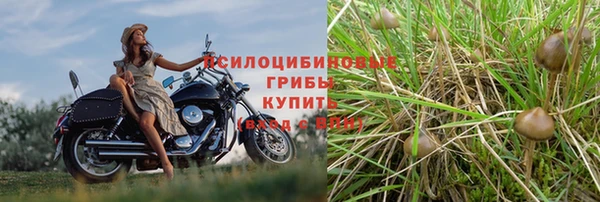 прущие крисы Нестеровская